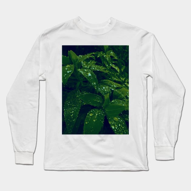 Dew drops on forest leaves gradient photo Long Sleeve T-Shirt by Sgrel-art